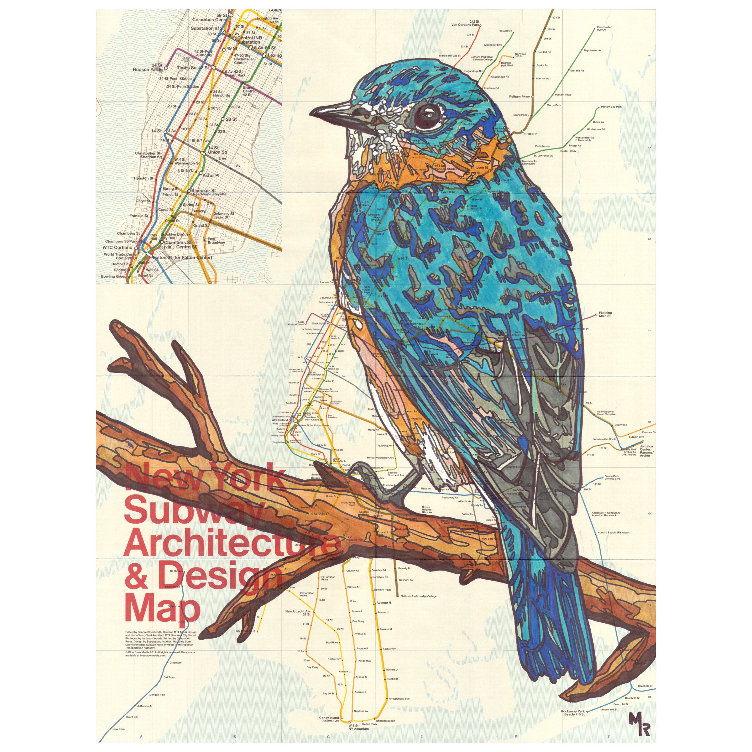 Toucan Wall Art Print - 10